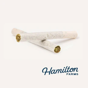 Hamilton Farms | Tuscan Gelato | 1g