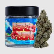 Seed Junky - Bora Bora - Flower - 7G