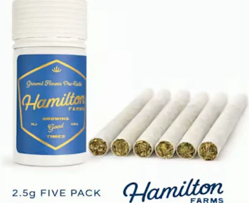 Hamilton Farms | Night Terror | 5pk/2.5g