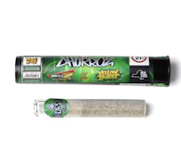 Static Room | Mega Z Green X YellowBurst | 2g Hashhole