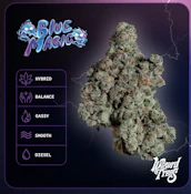 Wizard Treez Blue Magic 3.5G Jar (I)