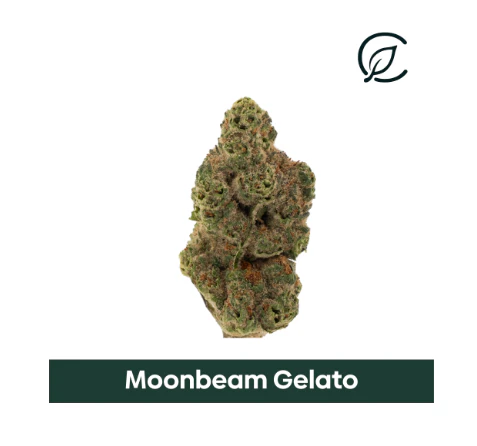 Curaleaf - Grassroots Whole Flower 14g Moonbeam Latto (H) 01490 Main Image