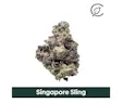Grassroots Singapore Sling