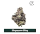 Product Preview Image 1