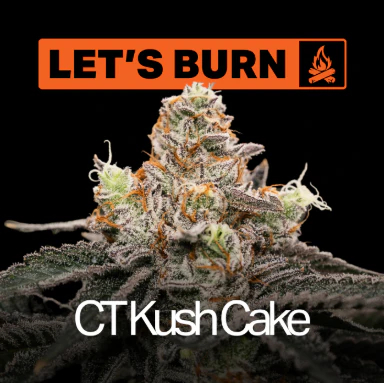 LET'S BURN - Let's Burn CT Kush Cake 3.5g 0085 Main Image