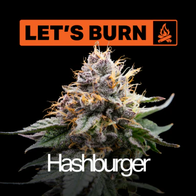 LET'S BURN - Let's Burn Hashburger 3.5g 0054 Main Image
