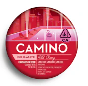 Camino - Wild Cherry - Gummies - 20pk - 100mg