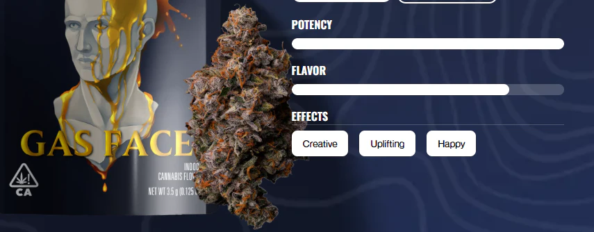 Seed Junky - Gas Face - 7g (H) - Seed Junky Main Image