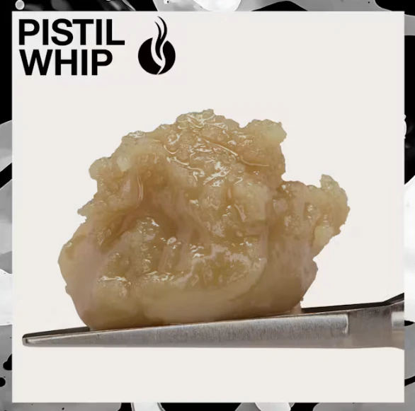 Pistil Whip - Pistil Whip - Concentrate - Live Rosin Badder - Madd Honey - 1G Main Image