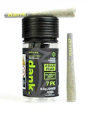 Dank - Asian Pear - 7Pk Pre-Rolls