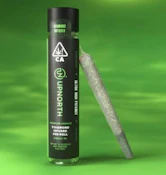 UPNORTH | GRANDDADDY PURPLE - INFUSED | PREROLL | 1G