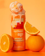 Ayrloom - Orange Creamsicle - (10THC:5CBD) - 12oz