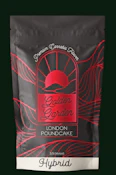 Golden Garden | Flower | London Pound Cake | 3.5g