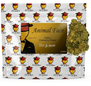 Pot & Head | Flower | Animal Face | 28G | tuxedo edition |