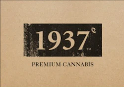 1937- Pancakes - 3.5G Flower