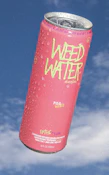 P.O.G. Wowie Seltzer 2:1