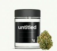 untitled | Flower | Blueberry Kush | 7g