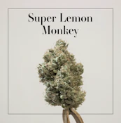 Smalls | 14g | Super Lemon Monkey