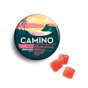 Camino | Edible | Watermelon Lemonade | 20-pack | 5mg