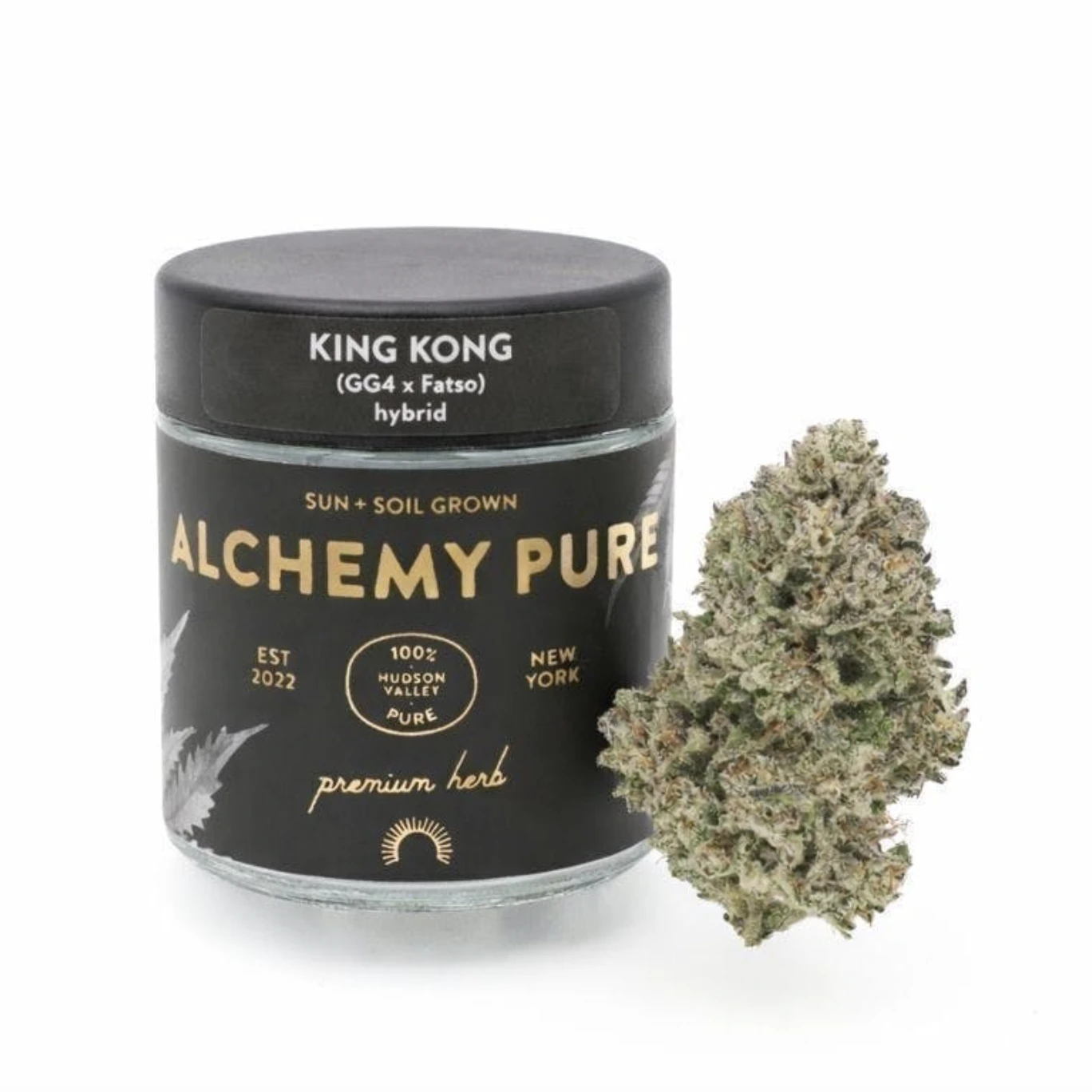 Alchemy Pure - Alchemy Pure | King Kong | Flower | 3.5g Main Image
