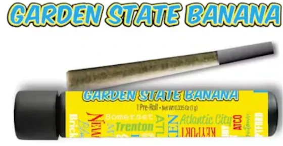 Garden State Banana | Banana Mochi | 1g
