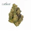 Product Preview Image 1