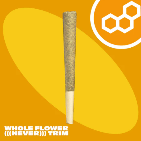 Theraplant - Colorado Flo (Aniva) 1g PR 42037 Main Image