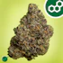 Product Preview Image 1