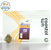 Hash Burger - 28g (H) - Coastal Sun