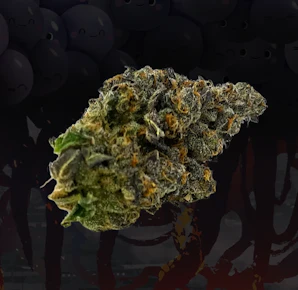illicit | Grapezilla | 3.5g