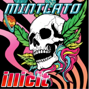 illicit | Mintlato | 3.5g