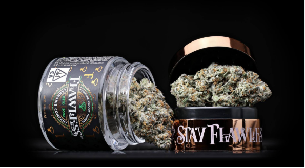 Flawless Flower: Slap N Tickle