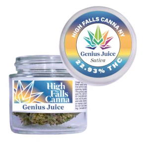 High Falls Canna | Flower | Genius Juice | 3.5g