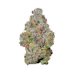 Product Preview Image 2