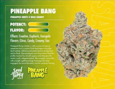 Pineapple Bang - 3.5g (S) - Seed Junky