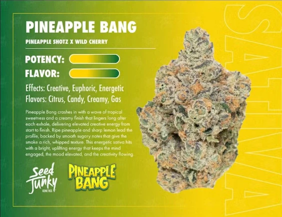 Seed Junky - Pineapple Bang - 3.5g (S) - Seed Junky Main Image