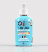 Blueberry + Pomegranate - 1000mg THC Tincture (Kan+ade)