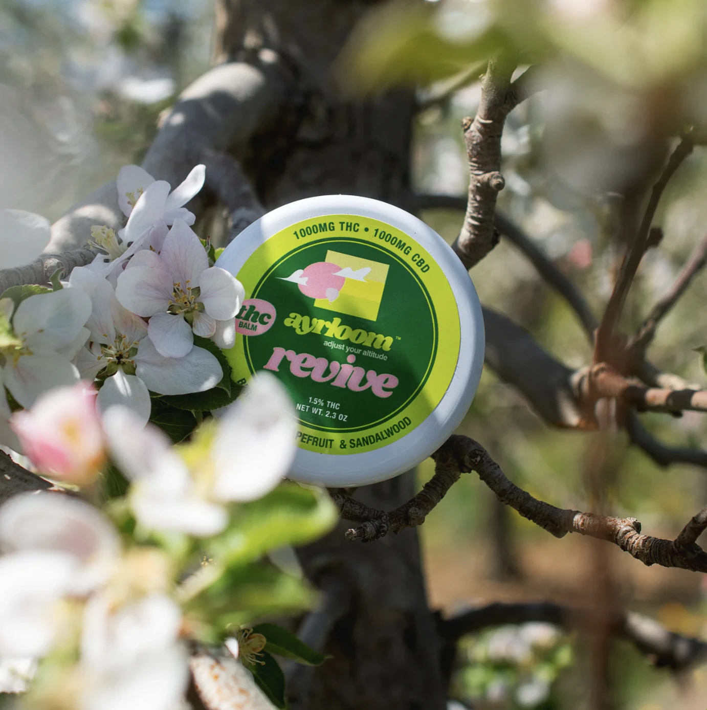 ayrloom - Revive Balm | 1000mg THC Main Image
