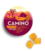 Camino - Gummies - Pineapple Habanero - 20pk - 100mg