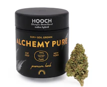Alchemy Pure- Hooch- 3.5g Flower