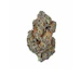 Product Preview Image 1