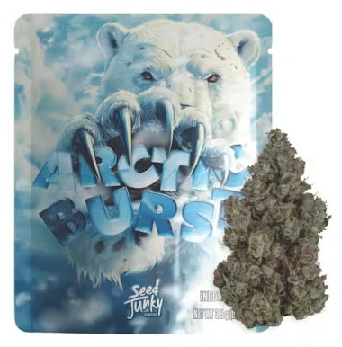 Seed Junky - Seed Junky - Arctic Burst - Flower - 3.5G Main Image
