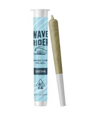 Wave Rider - WAVE RIDER | PINE OG | PREROLL | 1G Main Image