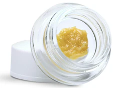 Alchemy Pure - Coup Runtz Bomb 1g Live Rosin Jar