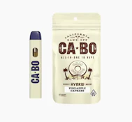 CABO Pineapple Express All In One Vape - (Hybrid) 1g 