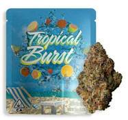 Seed Junky - Tropical Burst - Flower - 3.5G