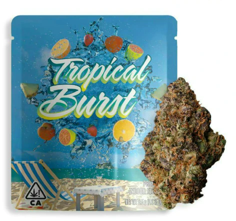 Seed Junky - Seed Junky - Tropical Burst - Flower - 3.5G Main Image