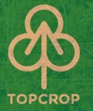 TopCrop - Top Crop - Solar Citrus - 3.5G Flower Main Image