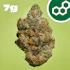 Product Preview Image 1