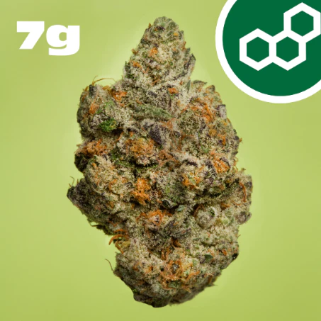 Theraplant - Apple Tart 7g 41604 Main Image